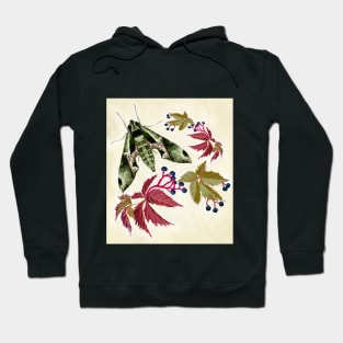 Virginia Creeper Sphinx Hoodie